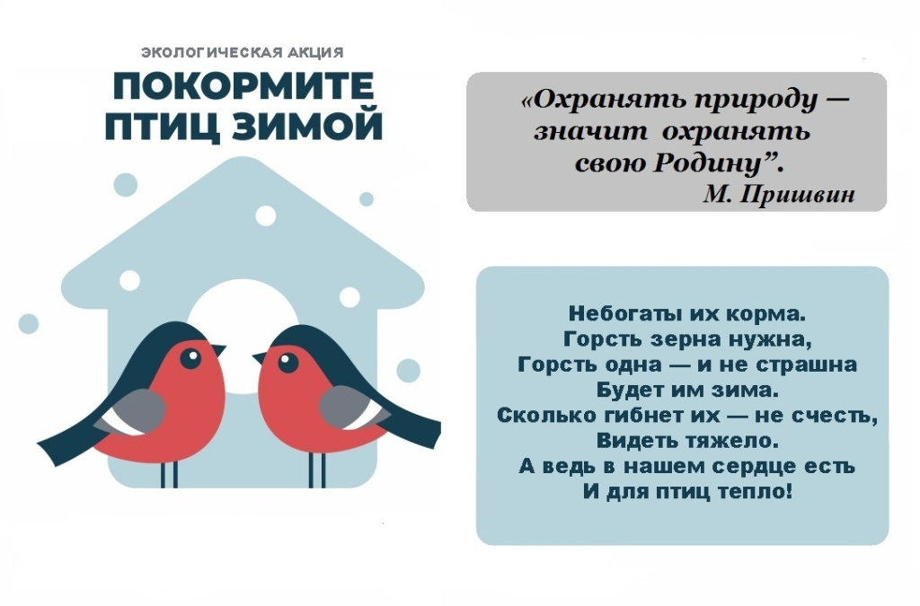 Акция покормите птиц зимой отчет. Акция покормите птиц зимой. экологическая акция покормите птиц зимой. покормите птиц хз имой. акция покорми птиц зимой.